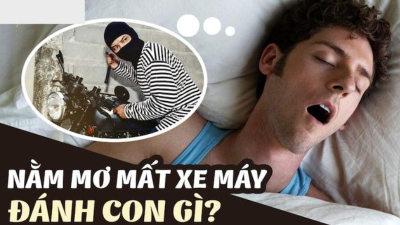 Giải mã ý nghĩa của giấc mơ thấy xe máy đánh số gì cho may mắn?