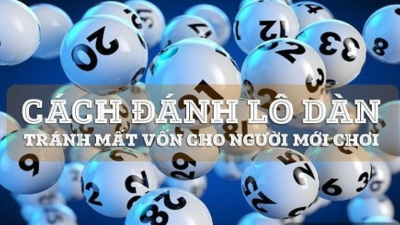 Nuôi lô theo dàn đề - Phương pháp có tỷ lệ chính xác cao